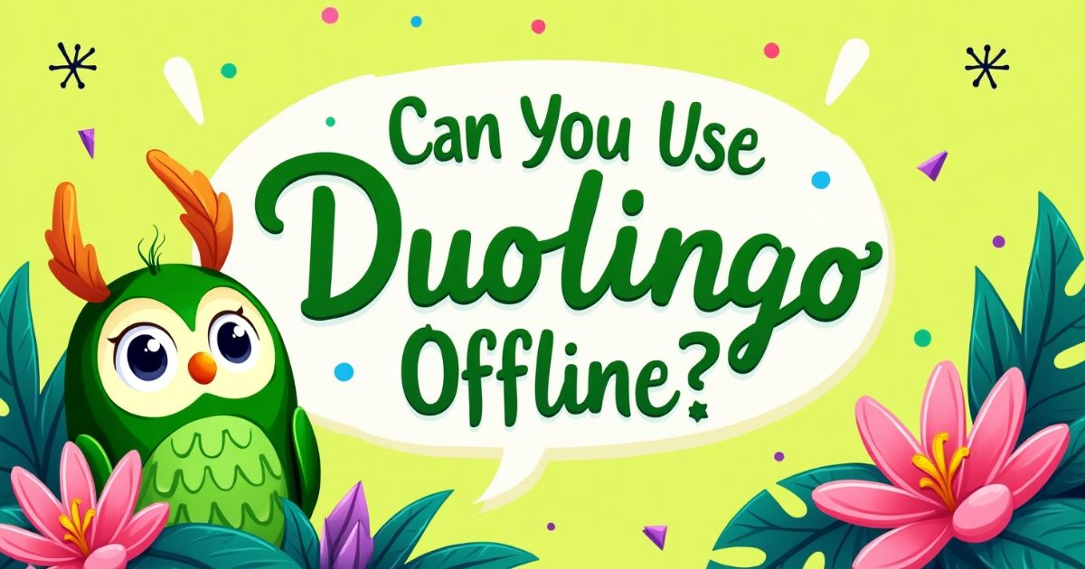 Can You Use Duolingo Offline